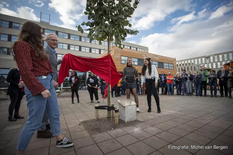 Eerste boom Nova Campus Haarlem