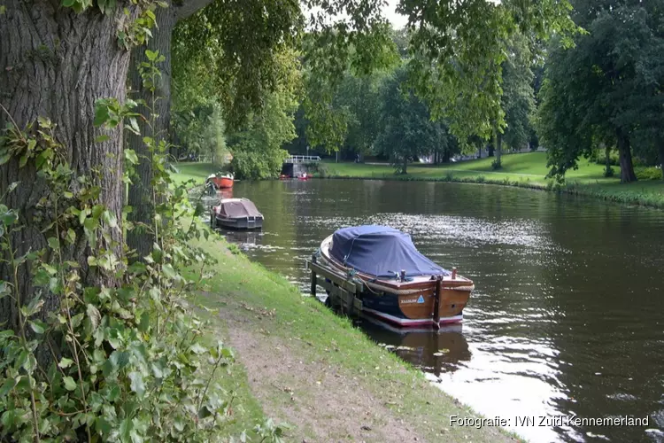 Natuur in de stad Haarlem