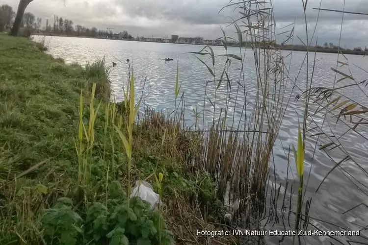 Haarlem Cleanup: Opschonen Spaarne-oevers