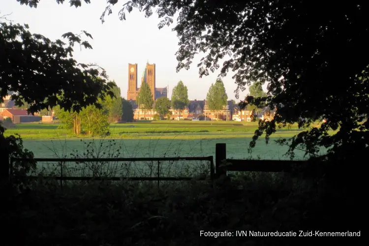 Duinvliet, het duinlandschap van Haarlem