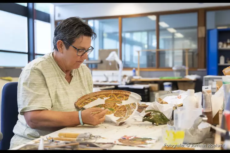 Zo worden de archeologische vondsten van Haarlem bewaard