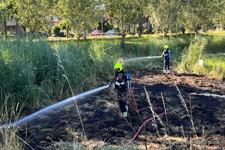 Natuurbrand bij Vondelweg in Haarlem