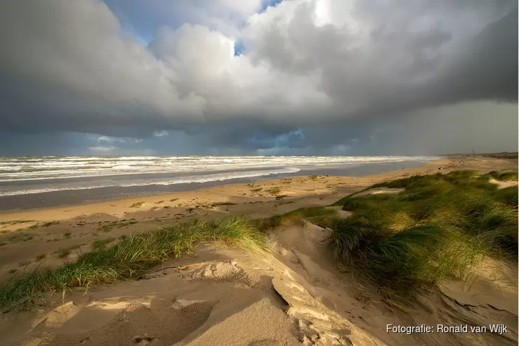 Ga mee op gratis excursie in de duinen