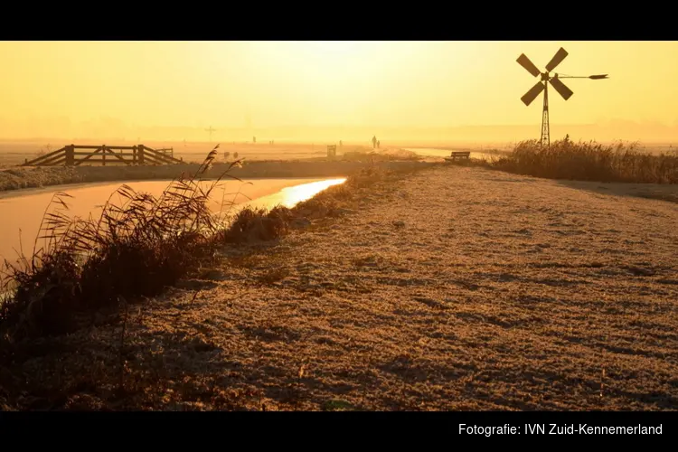 Vogeltrek in de Hekslootpolder