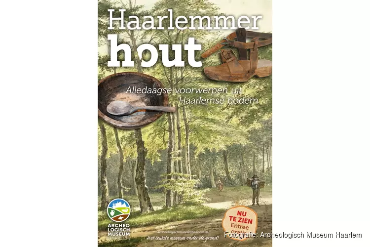 Te zien vanaf 23 november: Haarlemmer hout