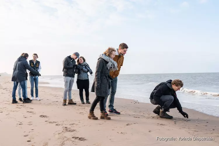 &#39;Sandsation!&#39; Het groene strand organiseert strandnatuur-dag voor jongeren (18-35 jr) met Arjan Dwarshuis