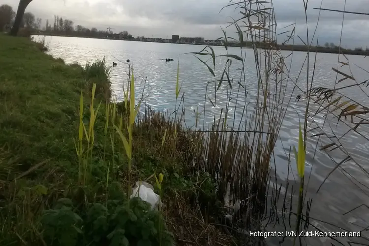 Opschonen Spaarne-oevers