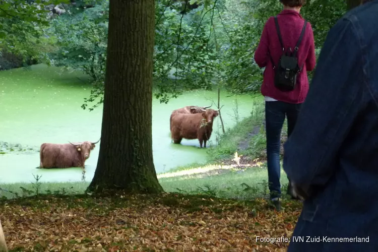 Voorjaar in wandelbos Groenendaal op donderdag 30 maart 2023