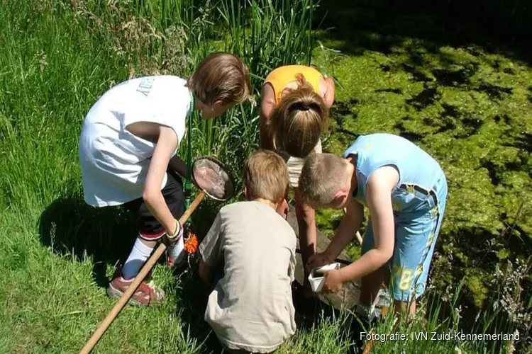 Waterbeestjes Poelbroek: Zondag 25 juni 2023