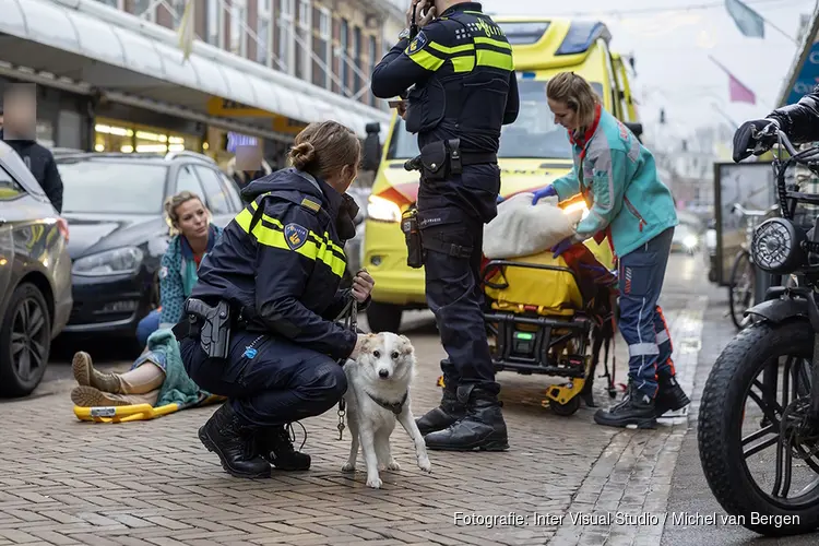 Vrouw en hond gewond bij ongeval in de Generaal Cronjestraat in Haarlem