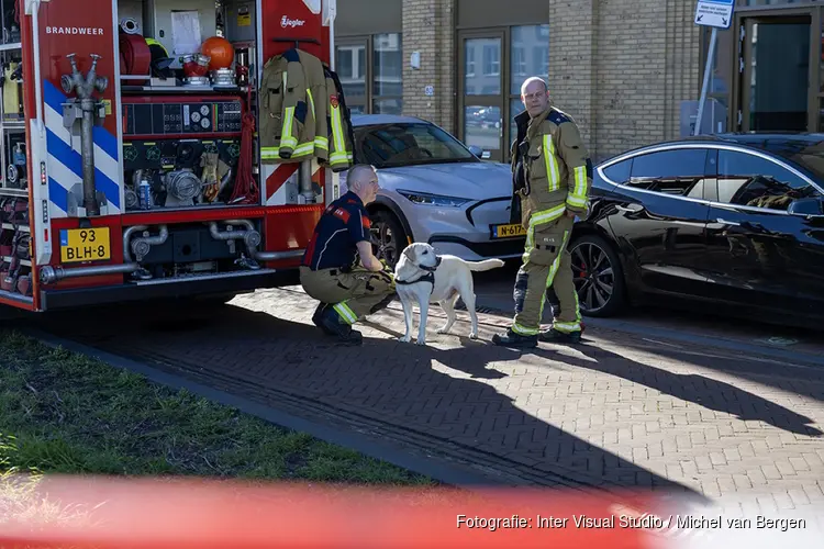 Hond gered bij brand in woning aan de Poeldijkweg in Haarlem