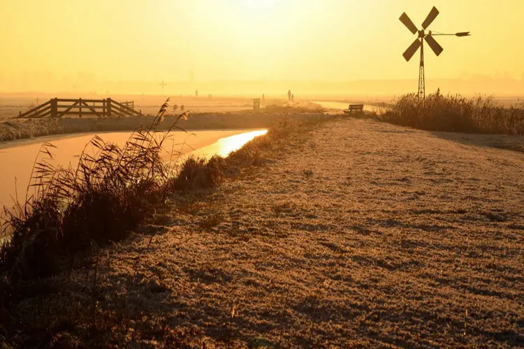 Vogelexcursie in de Hekslootpolder