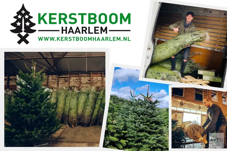 Kerstboom Kopen in Haarlem? Geniet van de Bezorg- en Ophaalservice van Kerstboom Haarlem!