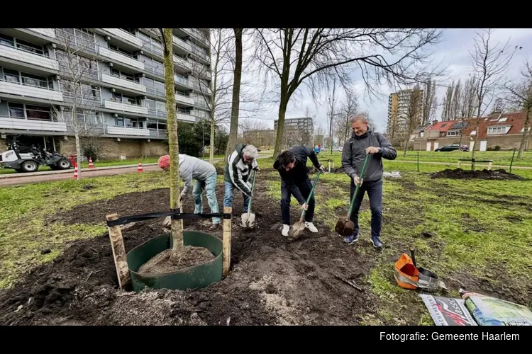 1.000 bomen erbij in Haarlem