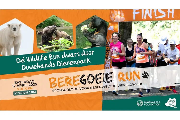 Dé Wildlife Run dwars door Ouwehands Dierenpark!