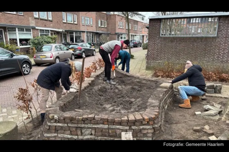 Geld om samen de wijk te vergroenen