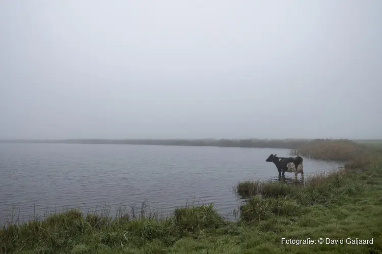 Fototentoonstelling ‘2040. Landbouw in transitie’ in De Gang